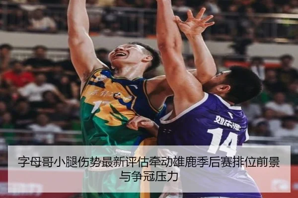 字母哥小腿伤势最新评估牵动雄鹿季后赛排位前景与争冠压力