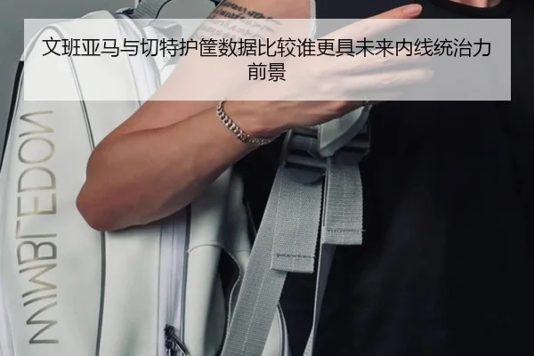 文班亚马与切特护筐数据比较谁更具未来内线统治力前景